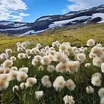 Levehytta - With A View At 1000 Masl * Al